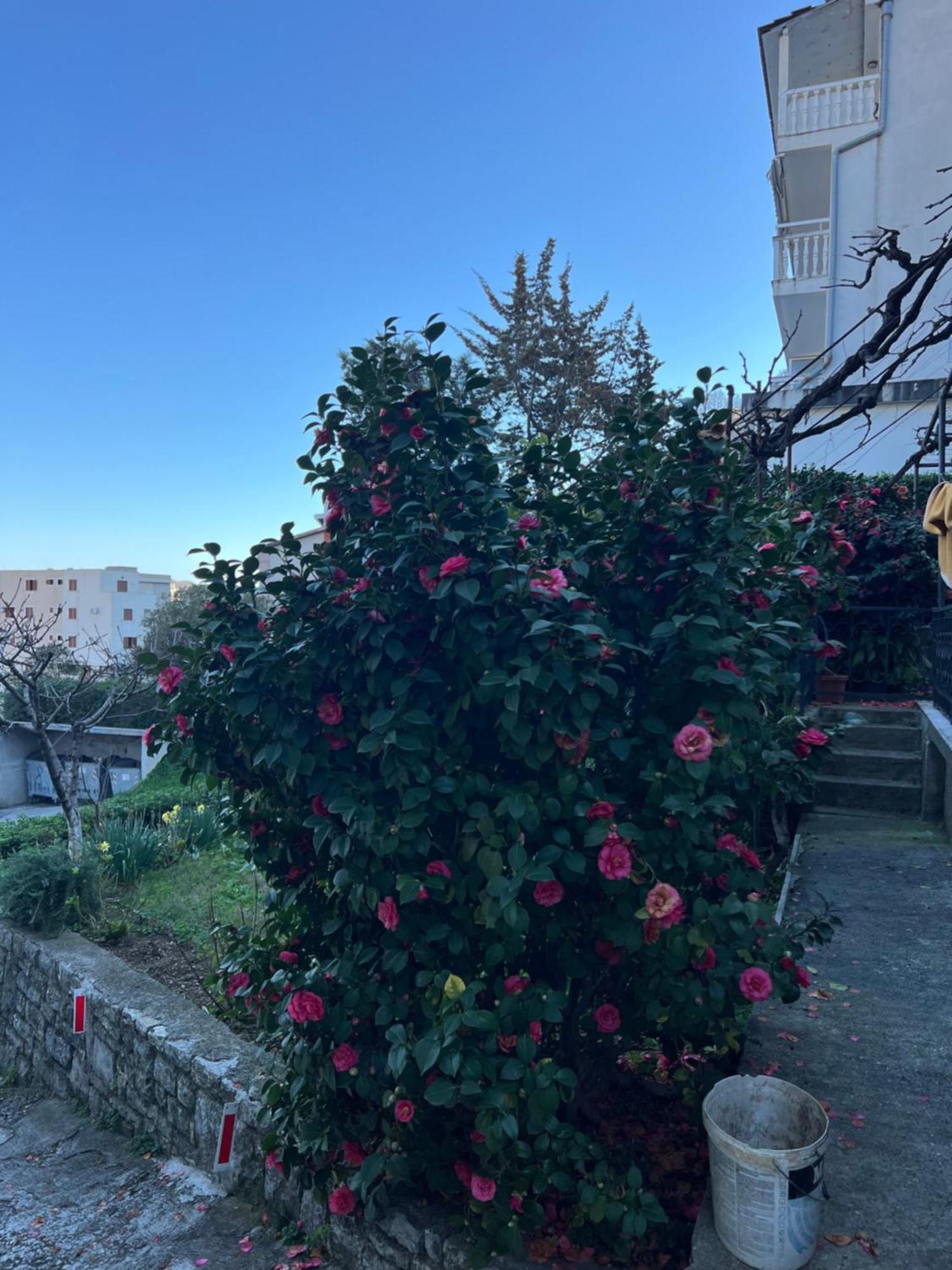 Guest House Plima 2 Budva Bagian luar foto