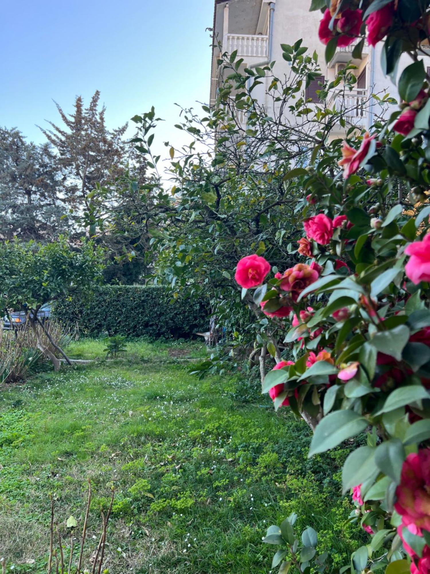 Guest House Plima 2 Budva Bagian luar foto