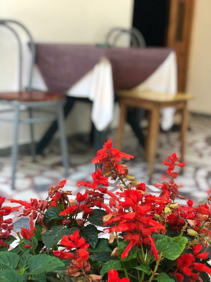 Guest House Plima 2 Budva Bagian luar foto